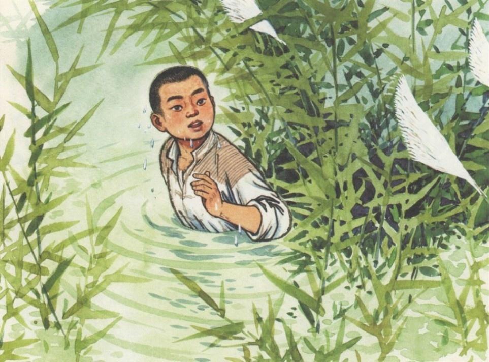 分享30幅彩色连环画《小英雄雨来》插画 - 知乎