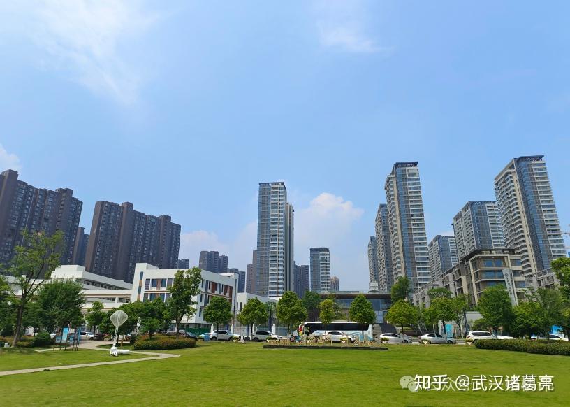来真的区域门户没挺住