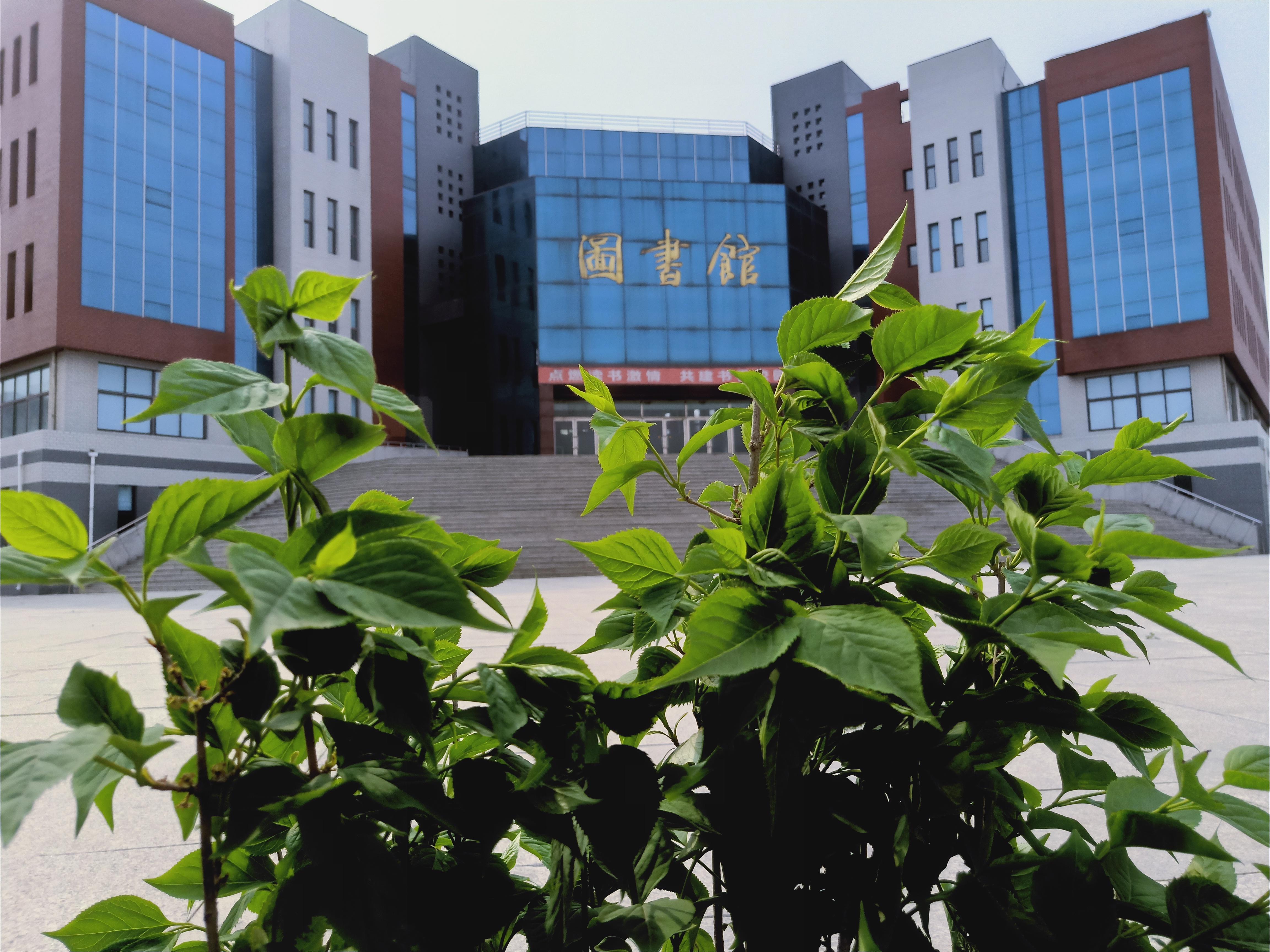 七月，让我们在辽宁中医药大学杏林学院应用科技学院实现本科梦!_就业