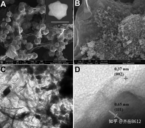 多壁碳納米管鐵氧化物複合材料聚丁二酸丁二醇酯多壁碳納米管複合材料