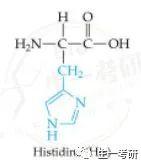 氨基酸的缩写太难记?5分钟带你背完这些氨基酸缩写 - 知乎