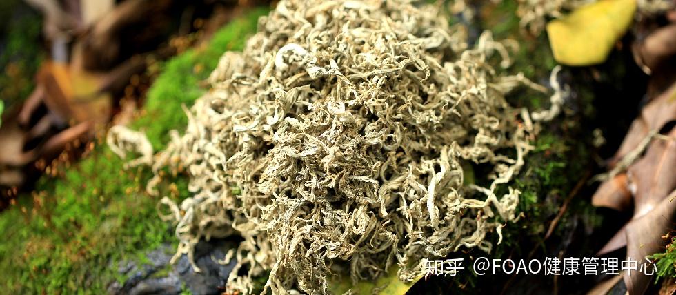 夏日洗个艾水澡理气血逐寒湿祛痱止痒