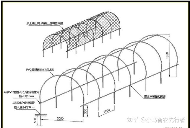 小型简易大棚搭建方法图片