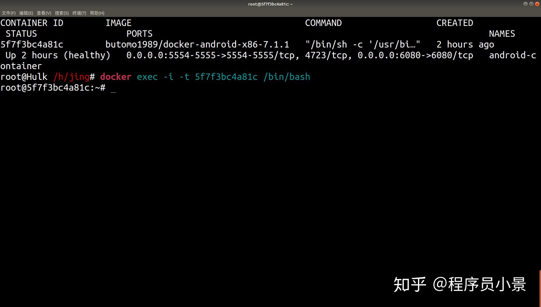 Docker Appium docker appium