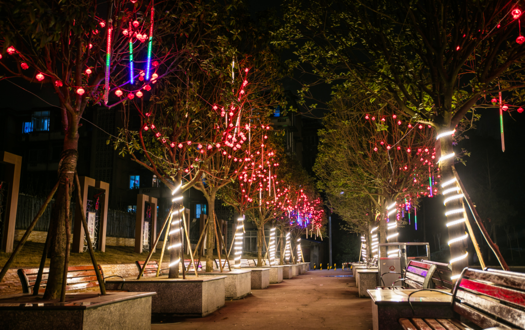 情暖双流61中国年春节到了和我在西航港的街头走一走