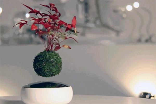 医科大学,十文字学园女子大学,浦和大学,大宫法科大学院大学,共荣大学