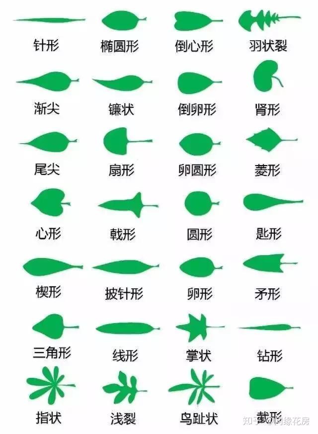 Как вычислить объем куба wikiHow