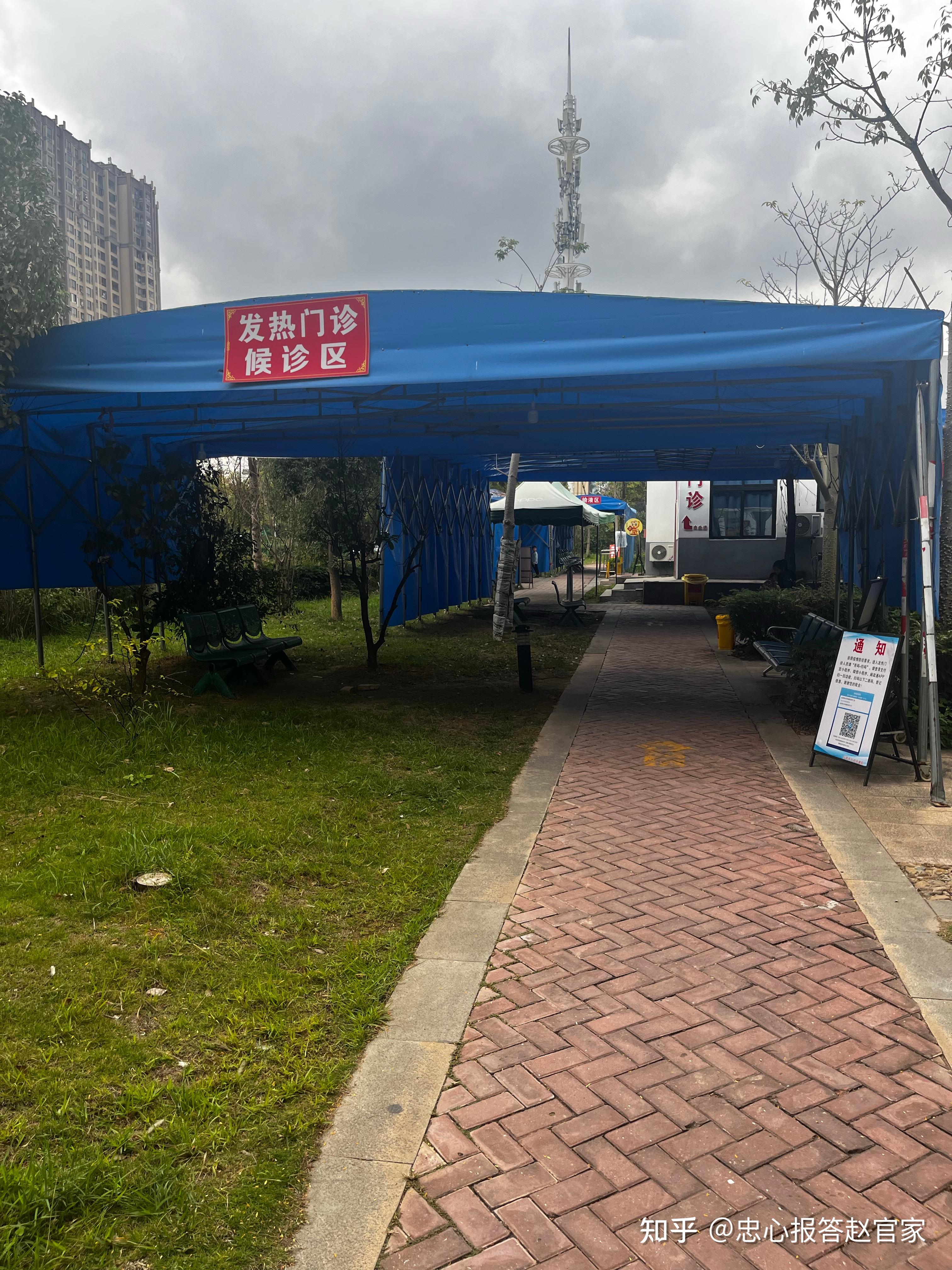 放开后，没有什么医疗挤兑，天下本无事，庸人自扰之。 - 知乎