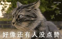 梦到鬼是一只猫——潜意识中的灵性警示与情感映射