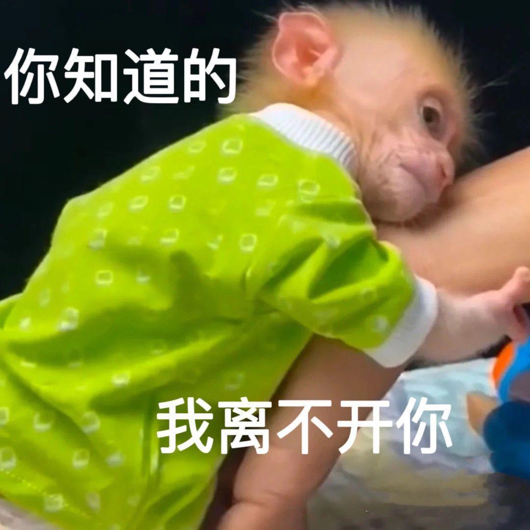 吗喽表情包第三波来咯! - 知乎