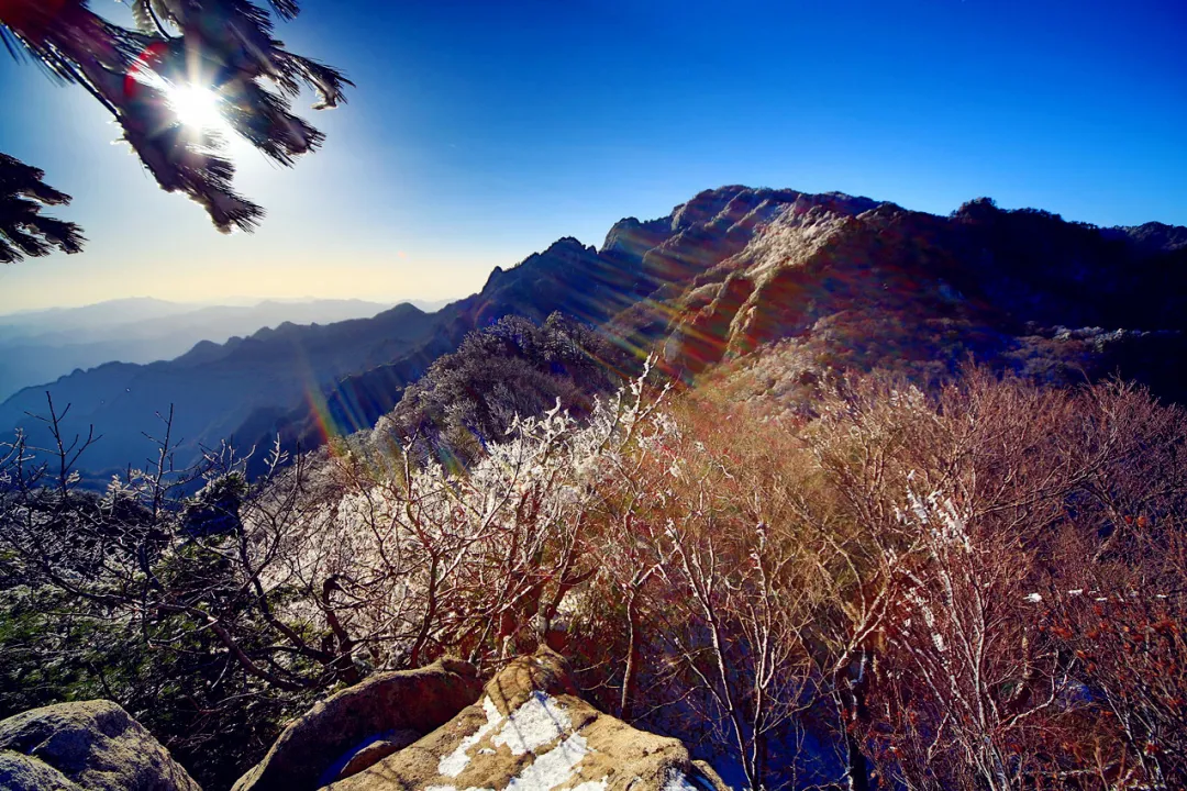 八百里伏牛山在河南有多少不为人知的宝库?