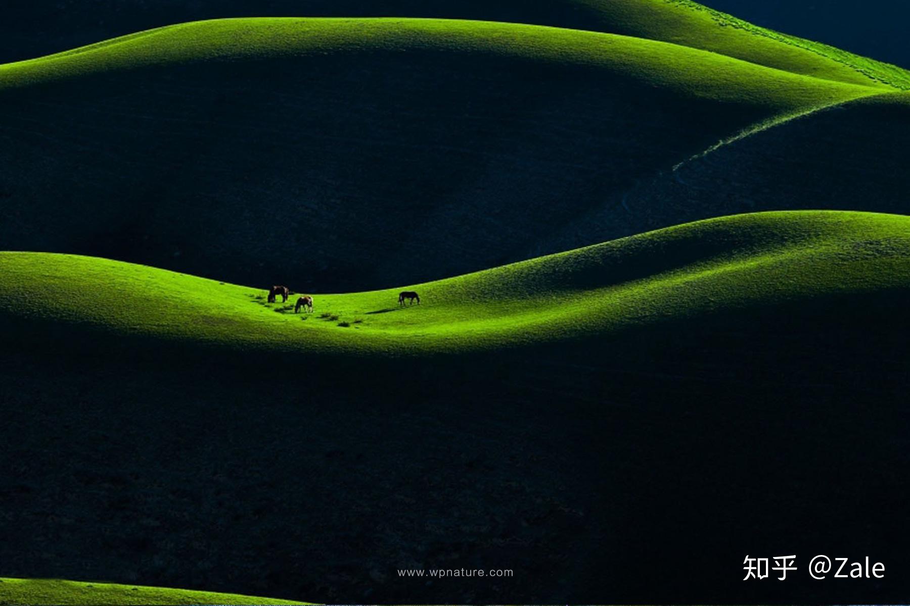 引导视线的构图方法