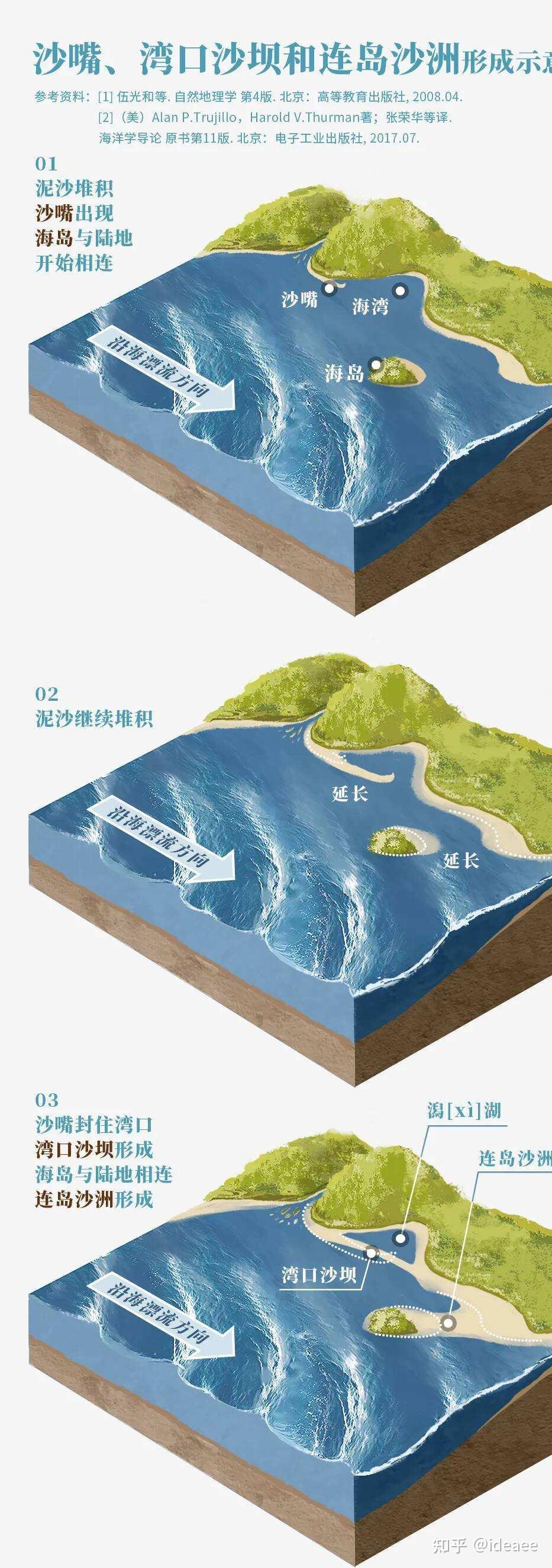 生物海岸地貌图片