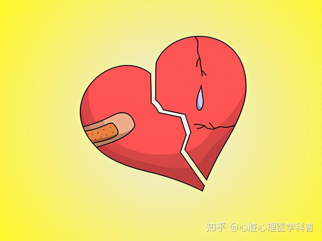 对情绪反应非常敏感又常常为情所伤的人体内部器官是什么