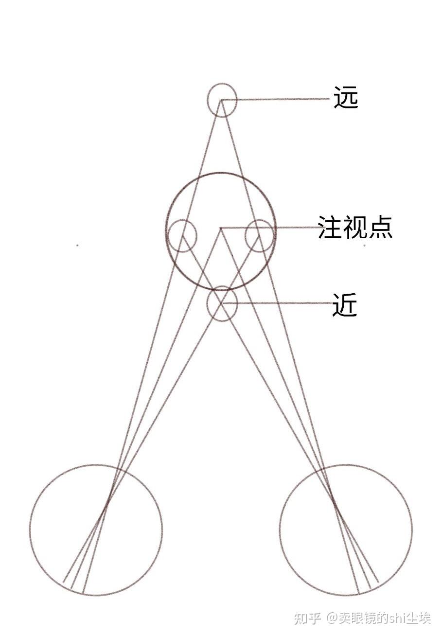 视交叉示意图图片