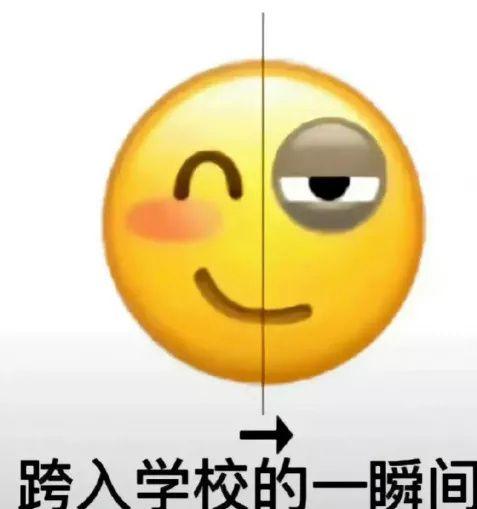 今日校园APP表情包图片