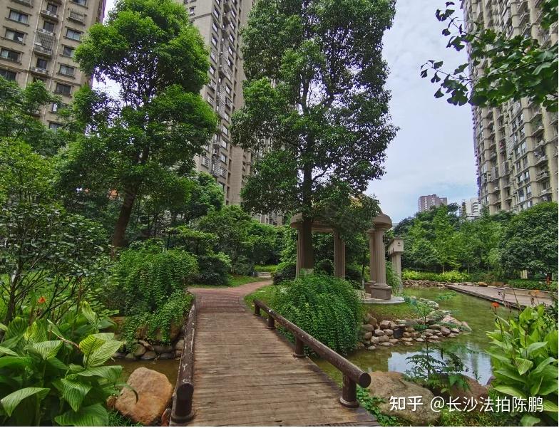 64折阳光锦城法拍房雨花亭商圈双地铁