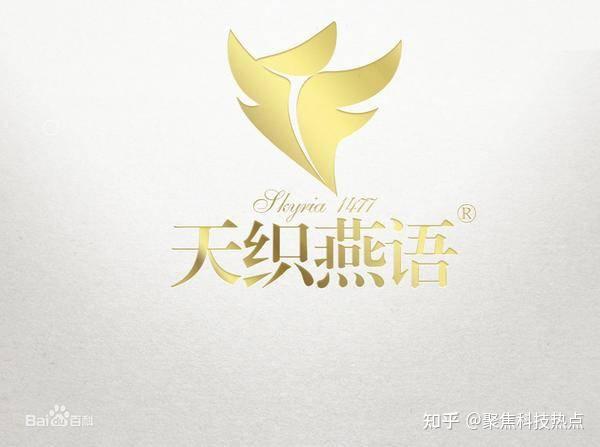 天织燕语企业分析