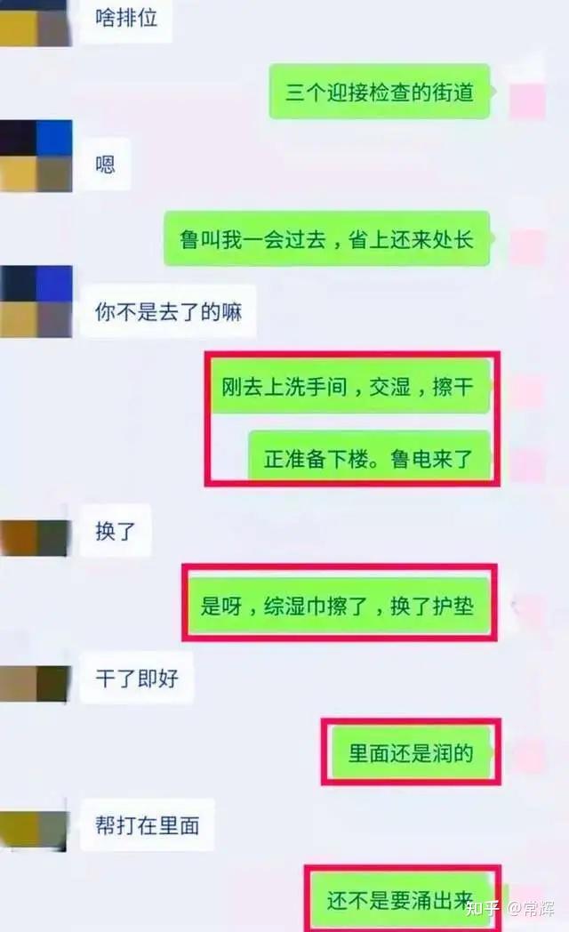 成都女副区长出轨聊天记录被曝光