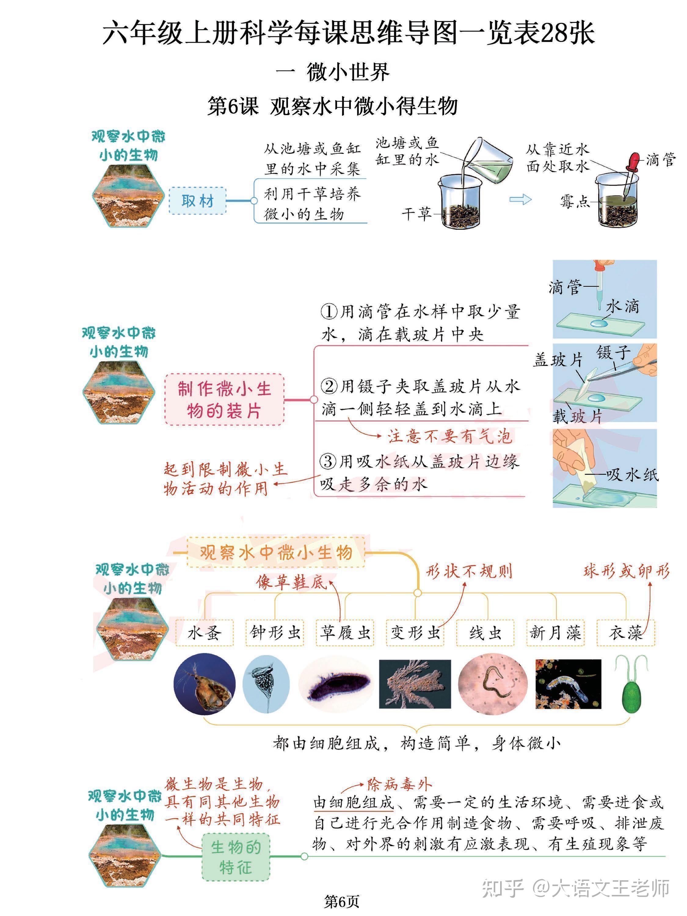 小学六年级上册《科学》思维导图汇总99