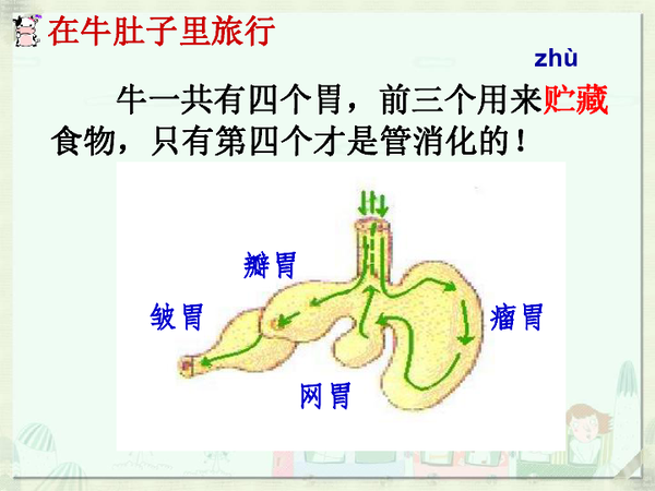想养好牛？那您很有必要了解一下牛的消化系统 - 知乎
