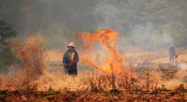 降雨带北抬,玉米小麦种植影响巨大