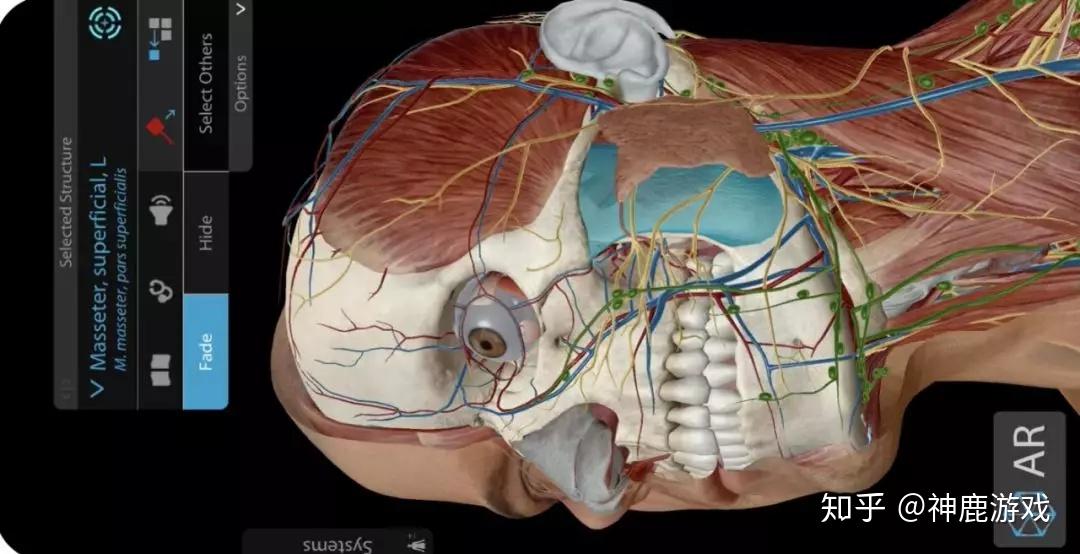 实用软件推荐第88期humananatomyatlas2020解剖和生理学