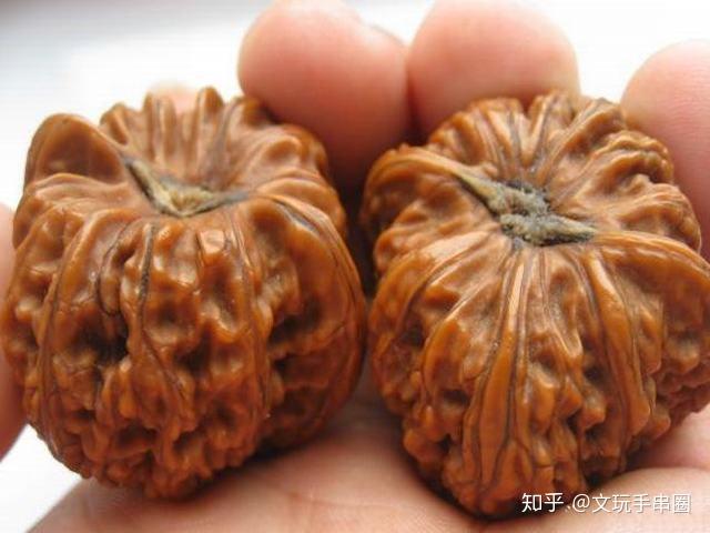 文玩核桃的100种分类之“矮桩密纹狮子头”惊心大解秘！ - 知乎