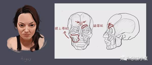 人人都能学会的人体课10面部表情