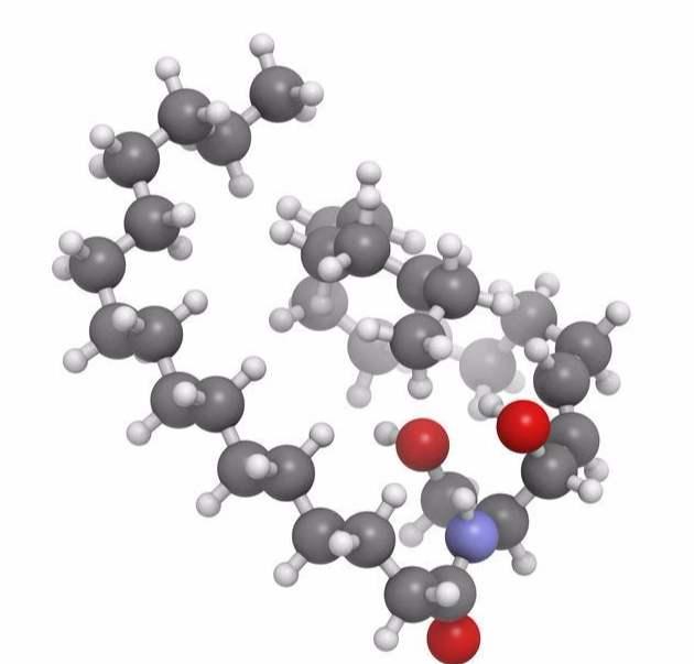 成分系列8神经酰胺