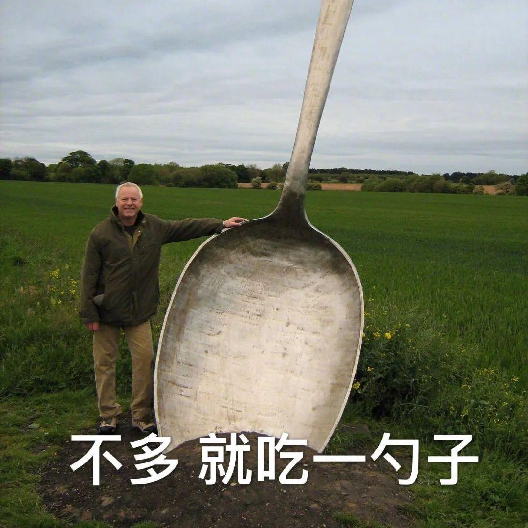 一味追求鼻子高挺金晨jj别忘了面部和谐才是首要