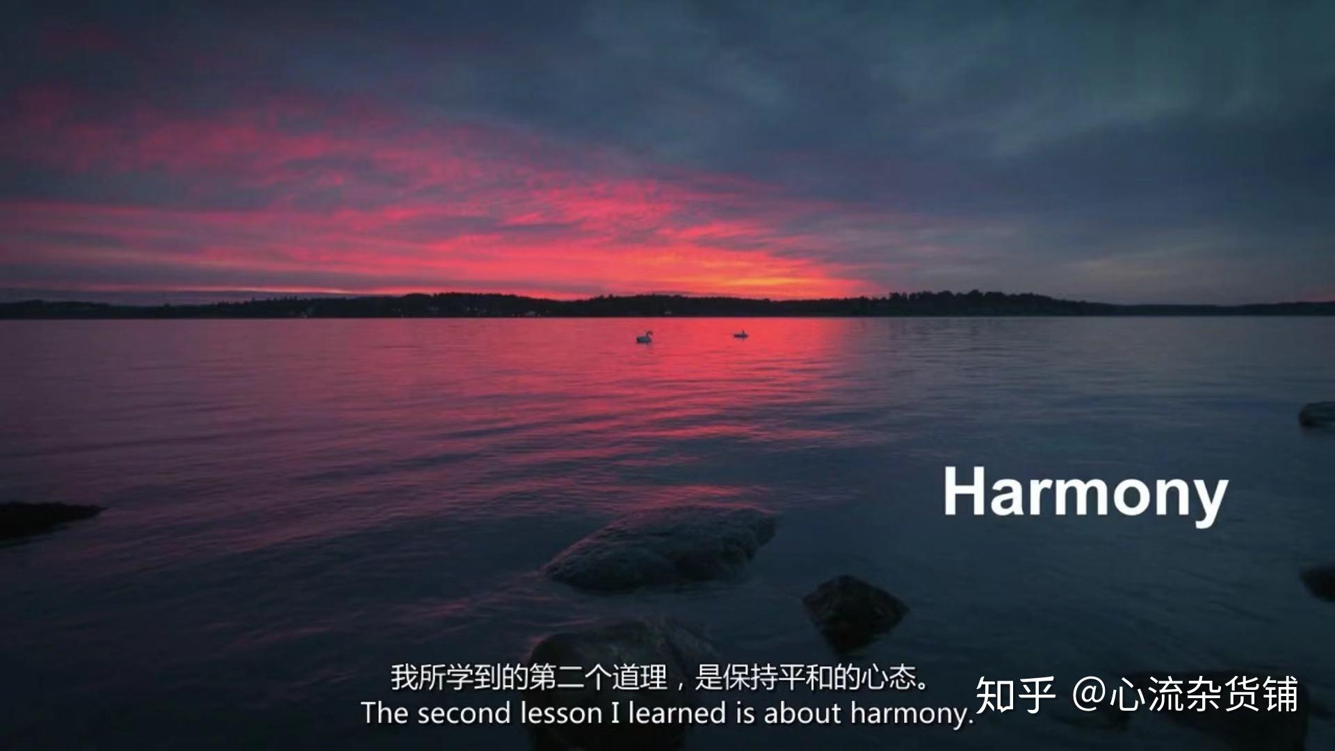 解决压抑,焦虑的h2o模型 - ted演讲关于《道德经》水的智慧的解读