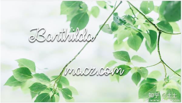 英文字母草书手写体 英语书法13种字体 各个英文字母的草书