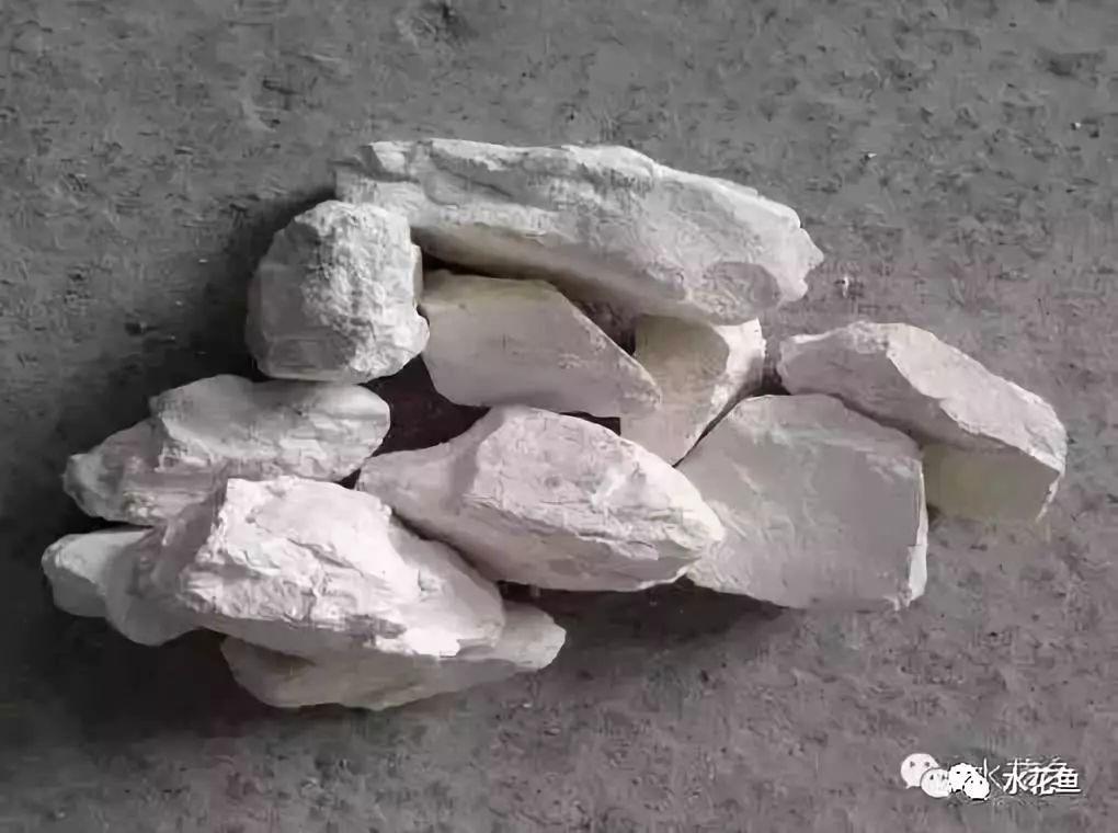 生石灰在水产养殖中的作用及应用 - 知乎