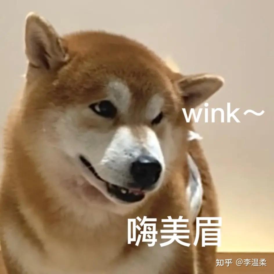 舍不得删的傻狗表情包 - 知乎