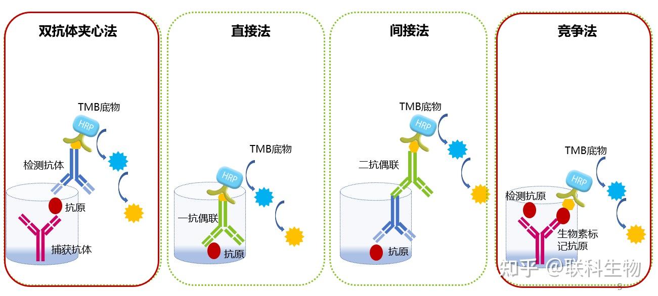 elisa原理示意图图片