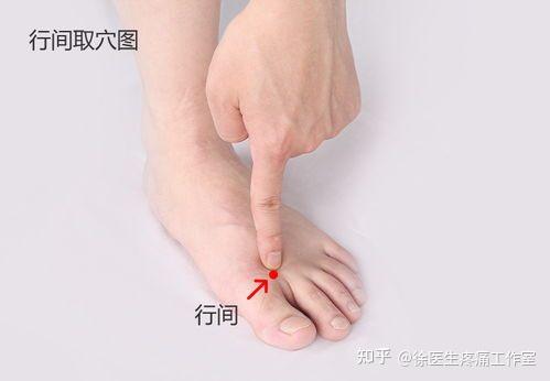 大敦穴、太冲穴、行间穴，人体三大养肝穴位！ - 知乎