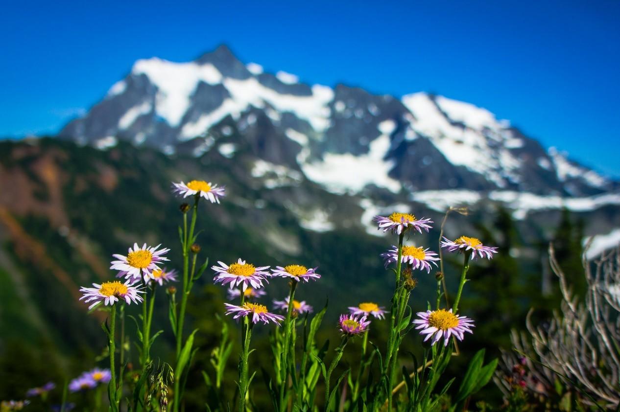 【《RTR3》 提炼总结】(九) 第十章 · 游戏开发中基于图像的渲染技术总结