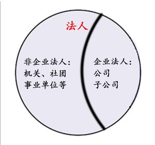 法人 法定代表人 法人代表区别 企业法人 法人企业 公司 知乎