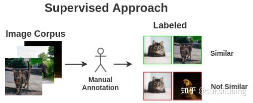 图解SimCLR框架 - 知乎