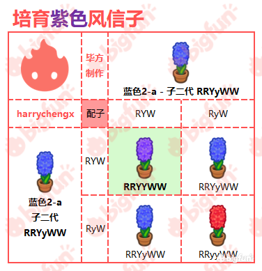 红 黄=橙(50%)/ 黄(50%) 【郁金香花种】有白红黄三种,可杂交出粉,橙