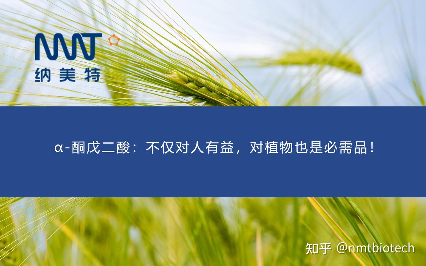 α-酮戊二酸：不仅对人有益，对植物也是必需品！ - 知乎