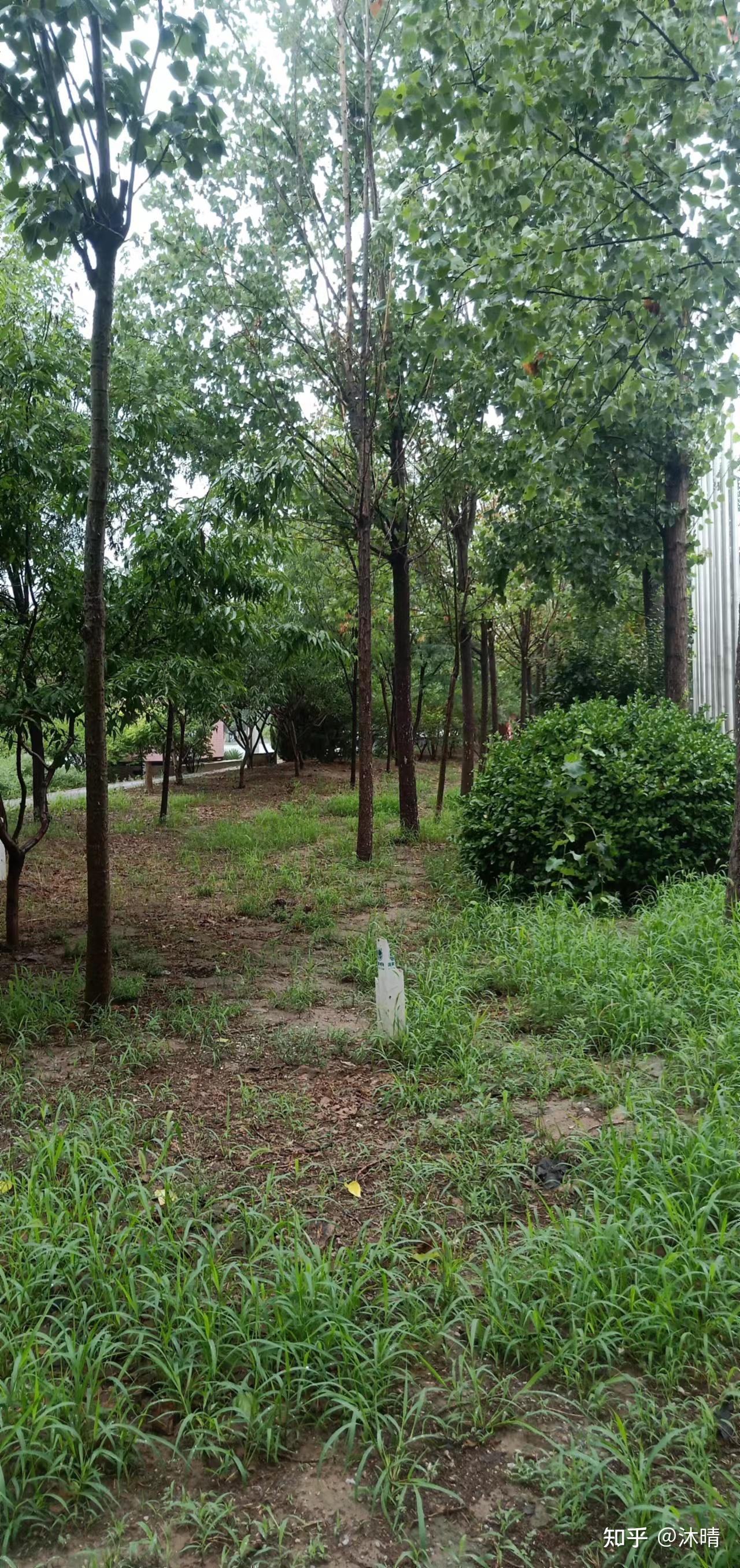 打卡小王庄示范镇
