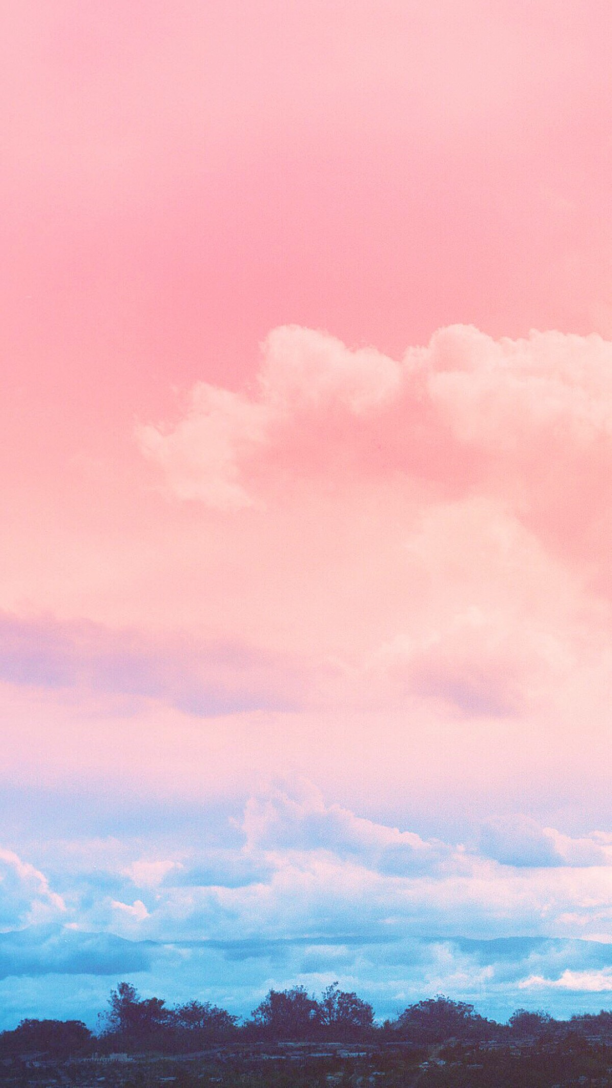v2-db6a81a331b8d8f2c260a569cd2fcdd0_r.jpg