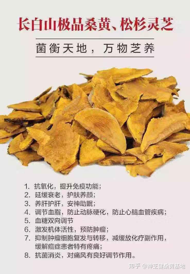 桑黄子实体的主要化学成分,你了解吗? - 知乎