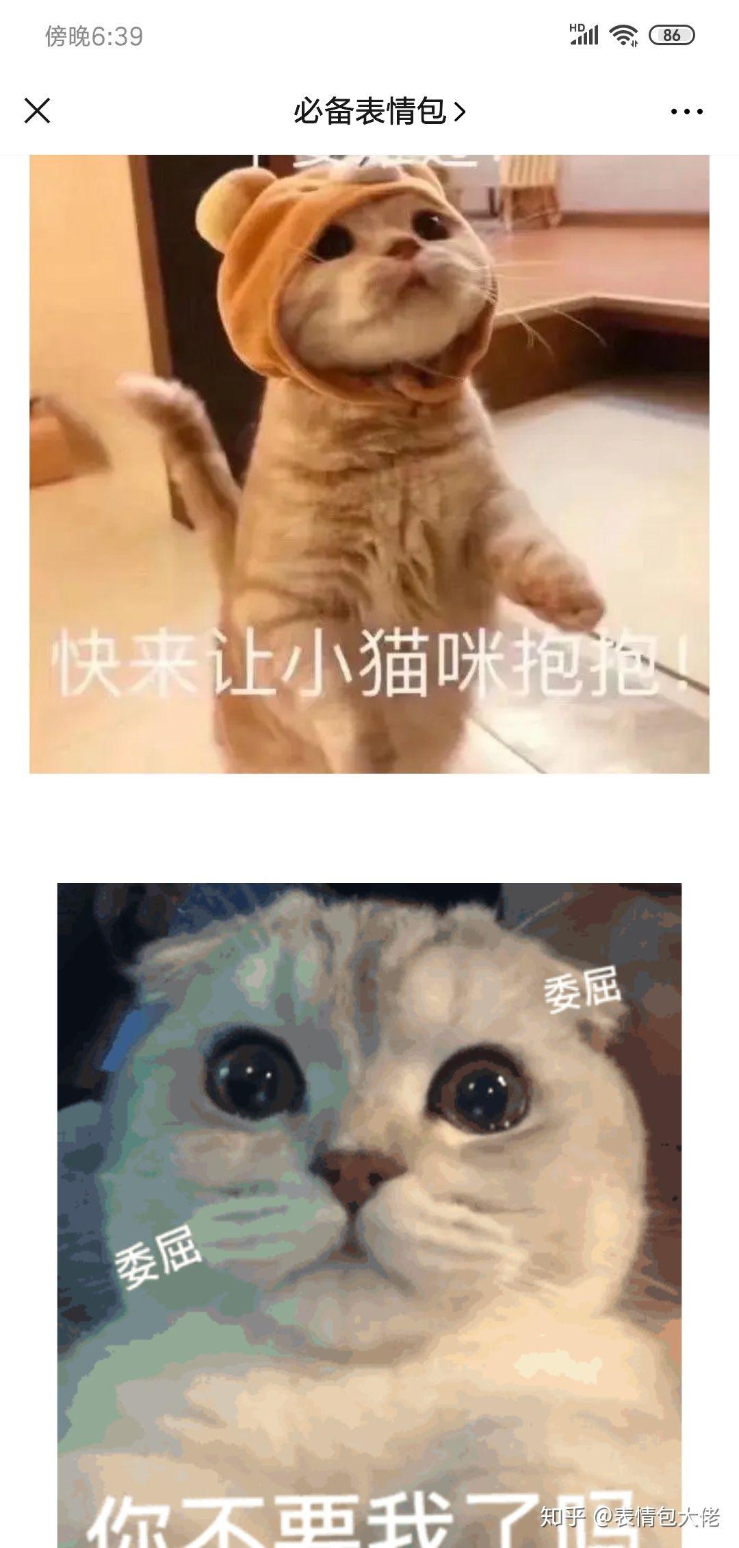 v2-db6bbe44bcdfec6ac6cbb87e252b088b_r.jpg