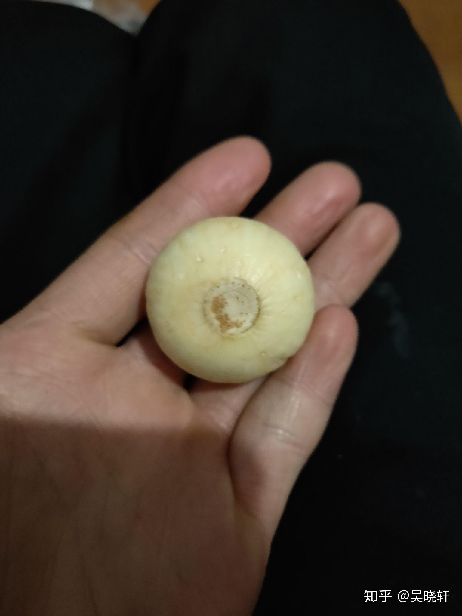 野生变异大蒜单颗五十克