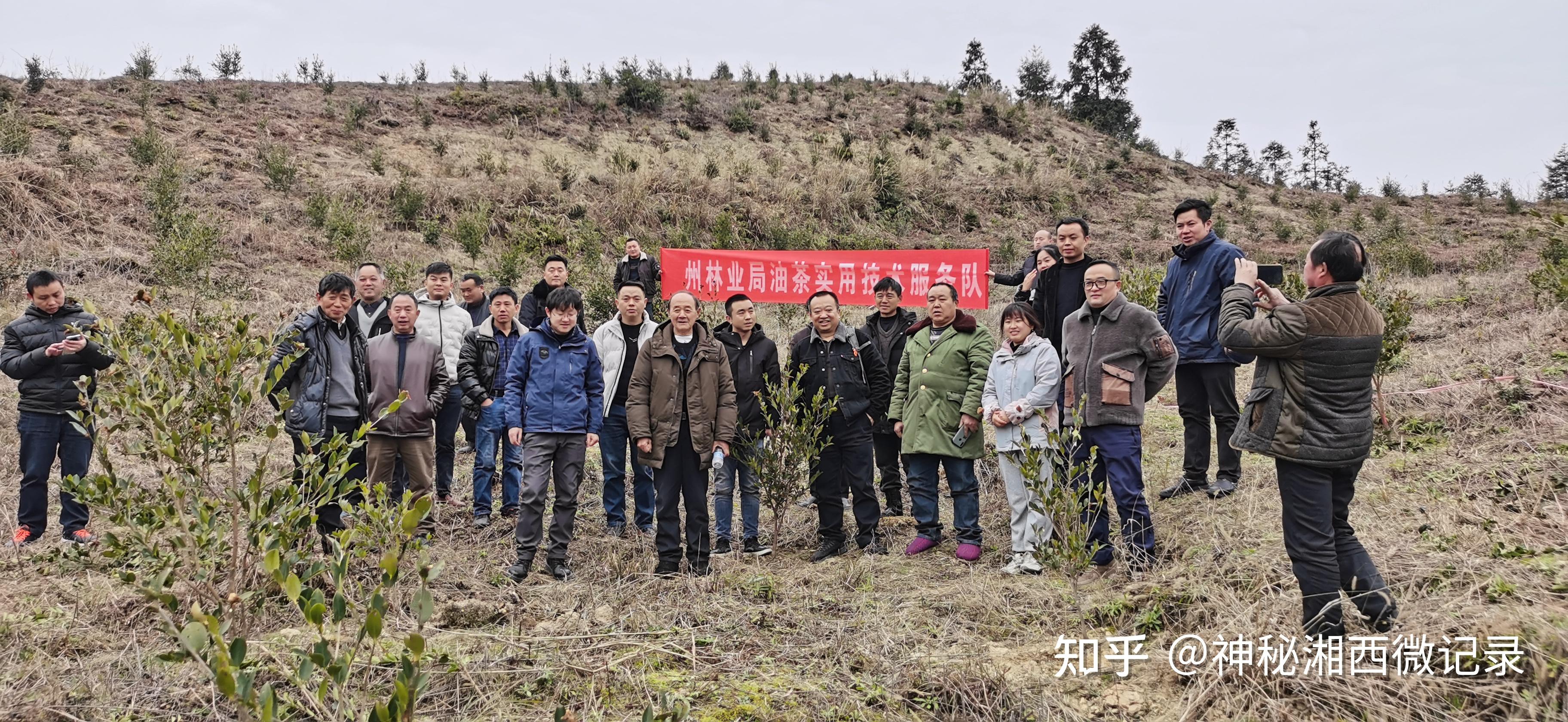 湘西州林业局开展油茶科技下乡活动