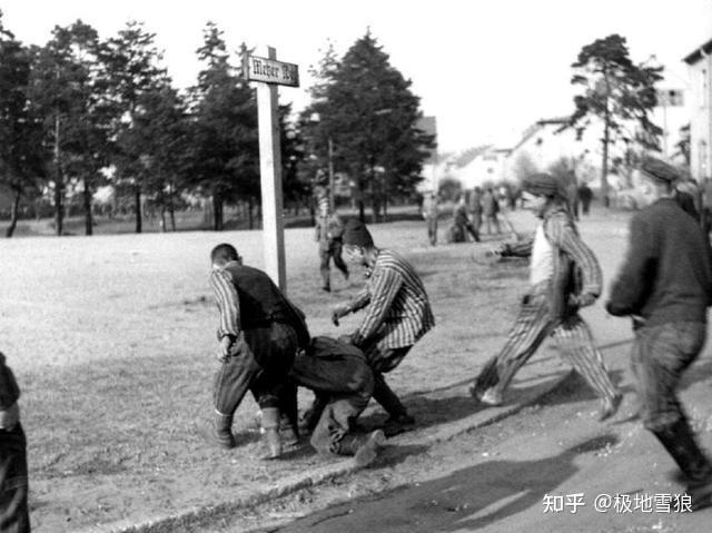 我就在达豪一名党卫军士兵亲历1945年美军处决集中营看守事件
