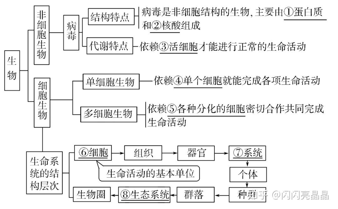 高中生物学大概念分子与细胞知识结构图一轮复习必备